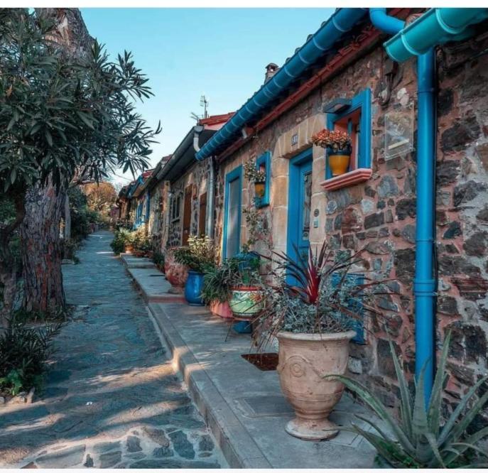 شقة Las Tortoras Amélie-les-Bains-Palalda المظهر الخارجي الصورة
